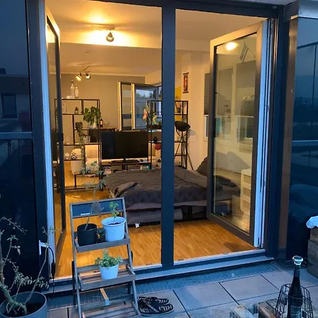 Zentrale Penthouse-wohnung Mit Dachterasse Und Flussblick Apartment Mainz