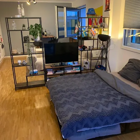 Zentrale Penthouse-wohnung Mit Dachterasse Und Flussblick Mainz