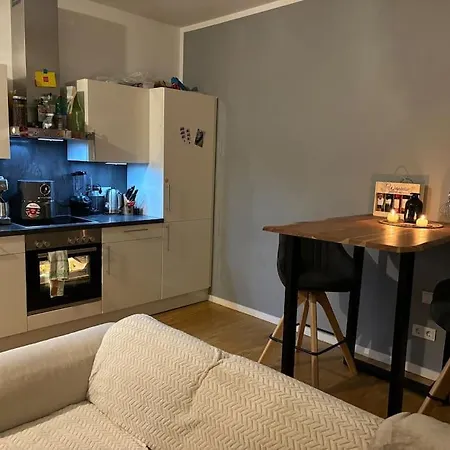 Zentrale Penthouse-wohnung Mit Dachterasse Und Flussblick Apartment *