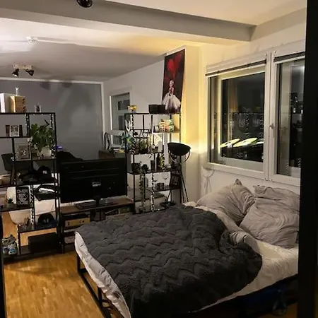 Zentrale Penthouse-wohnung Mit Dachterasse Und Flussblick *