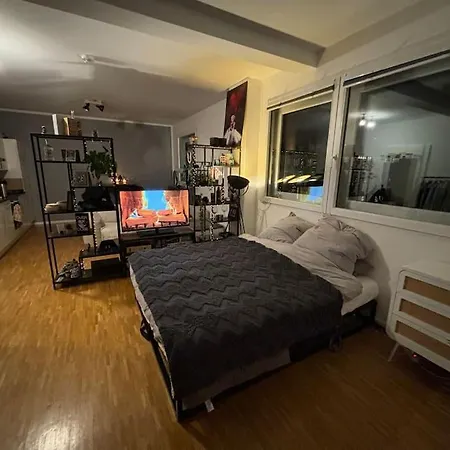 Zentrale Penthouse-wohnung Mit Dachterasse Und Flussblick