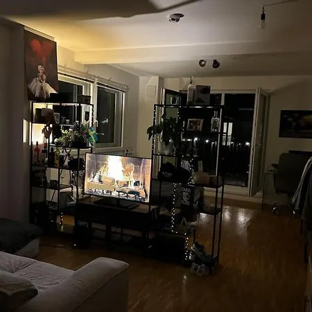 Zentrale Penthouse-wohnung Mit Dachterasse Und Flussblick Mainz