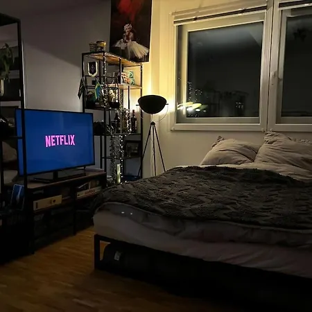 Zentrale Penthouse-wohnung Mit Dachterasse Und Flussblick