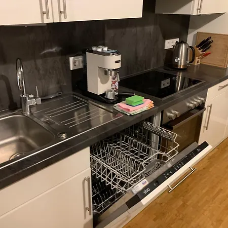 Zentrale Penthouse-wohnung Mit Dachterasse Und Flussblick Apartment Mainz